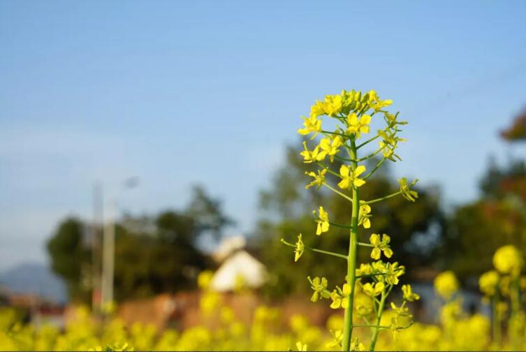 春季該如何預(yù)防控制高血壓？
