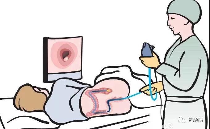 “胃”你好嗎？“腸”來看看！