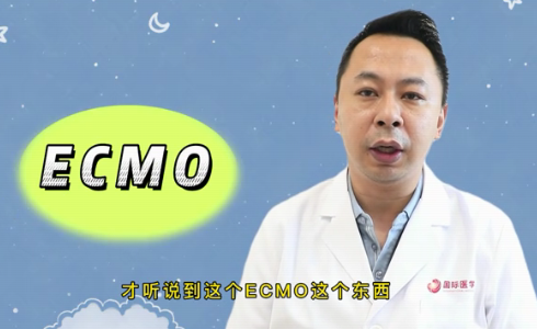 什么是ECMO？