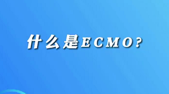 【名醫(yī)面對面之心臟100問】什么是ECMO？