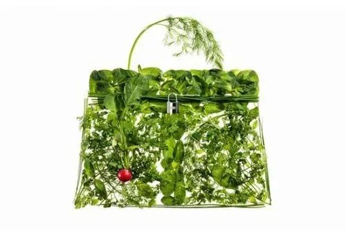 蔬菜界的“愛馬仕”會(huì)中毒致癌？