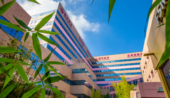 國醫(yī)四味：竹林、紫杉、桂花、銀杏，還有那……