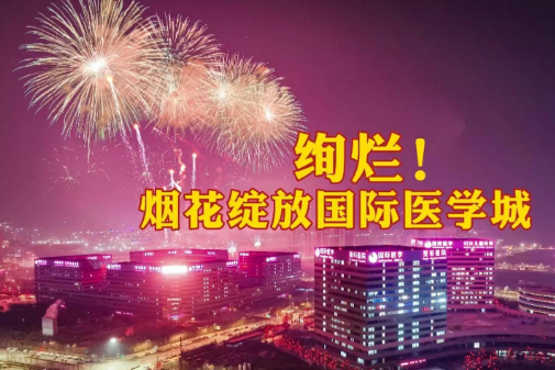 絢爛！煙花綻放國(guó)際醫(yī)學(xué)城